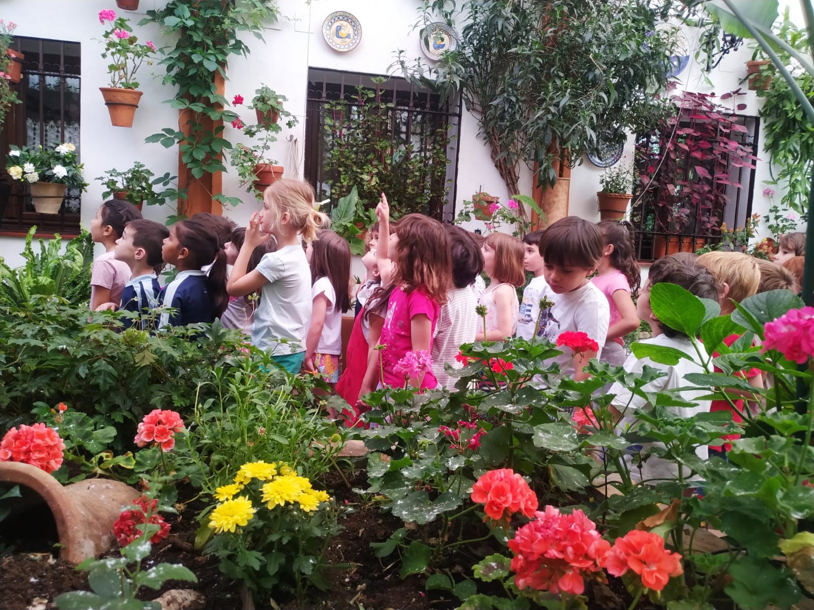 Los grupos de Educación Infantil visitan los patios cordobeses